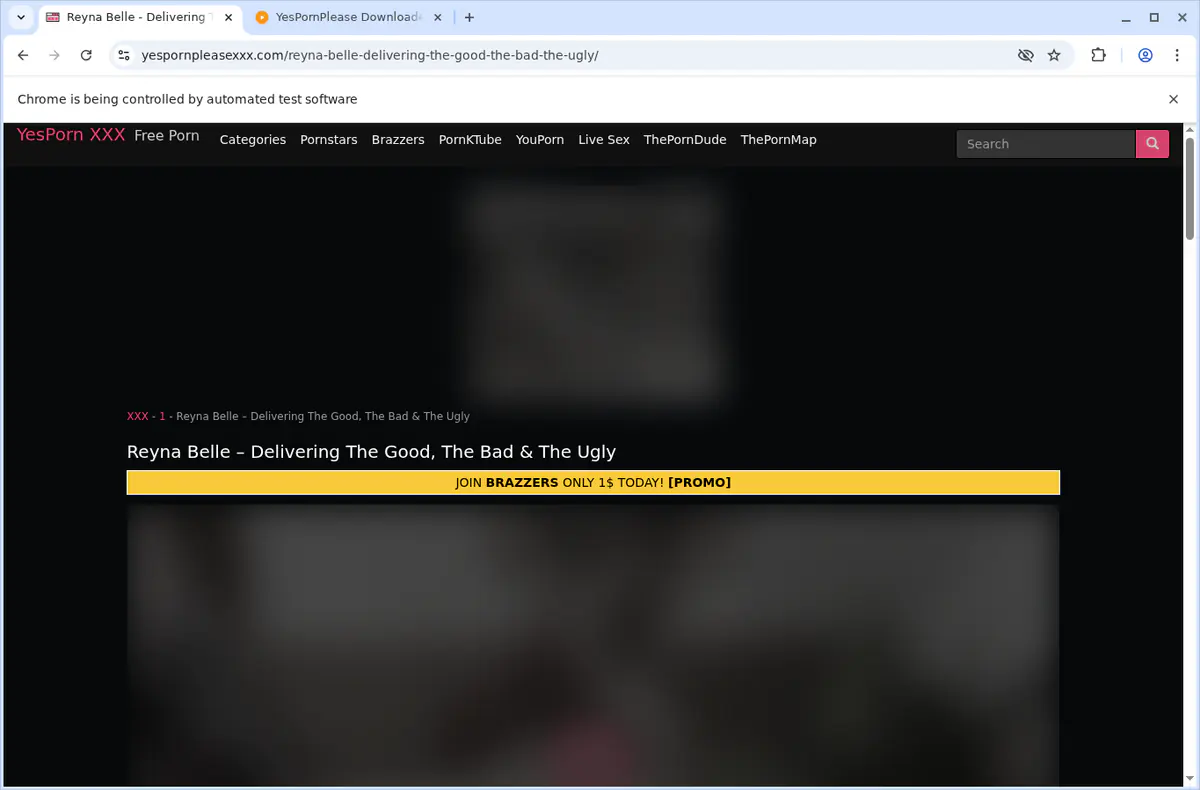Yespornplease Video Downloader screenshot 3