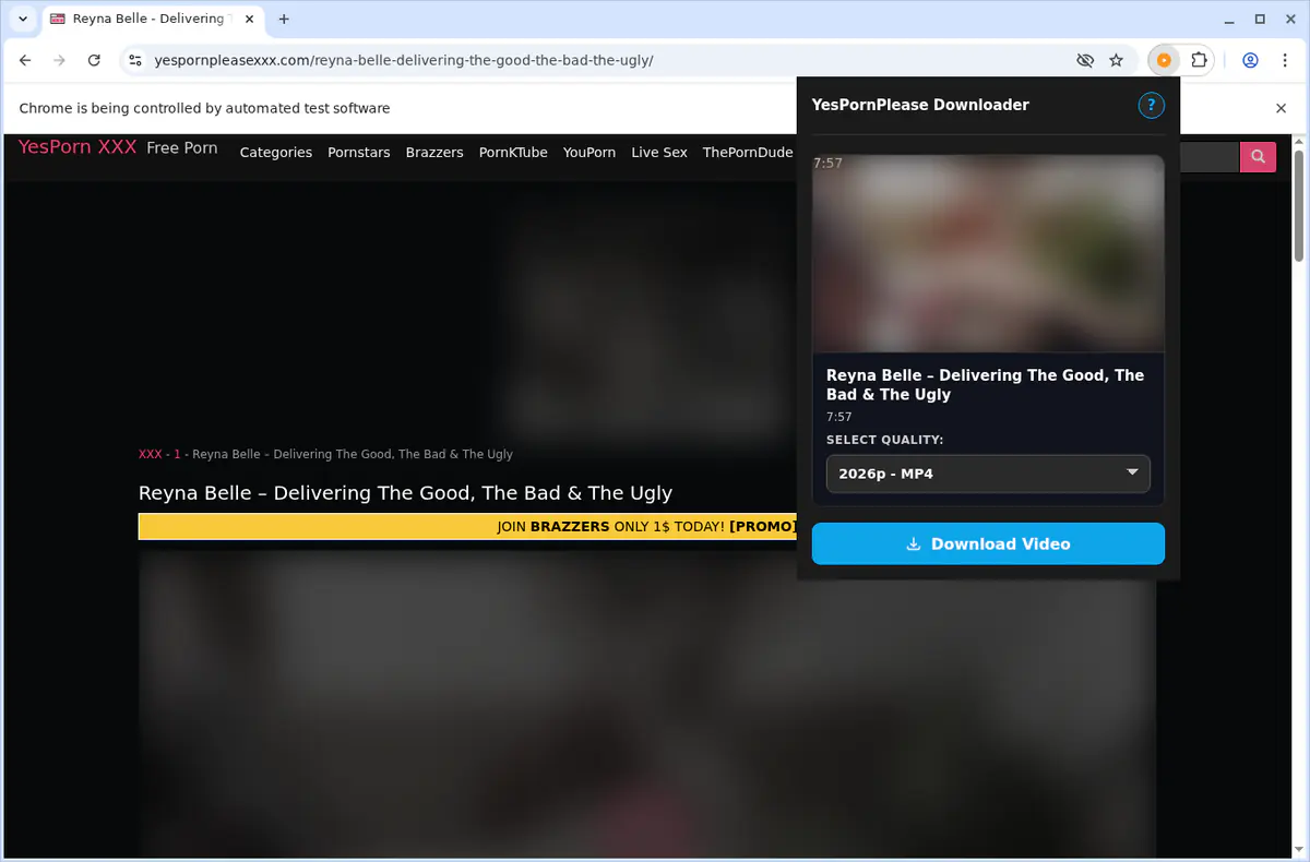 Yespornplease Video Downloader screenshot 4